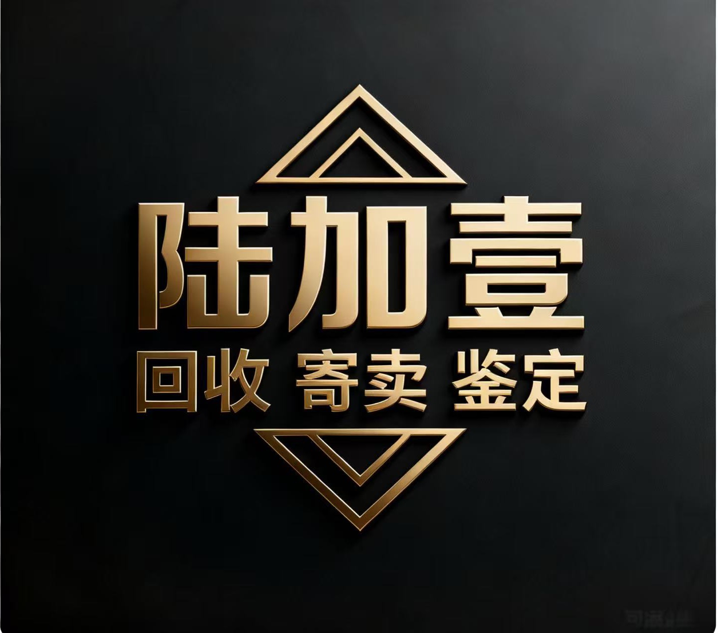 陆加壹